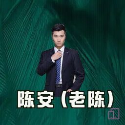 陈安 (老陈)